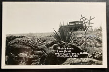 Mint USA New Mexico Real Picture Postcard RPPC Prehistoric Lava Beds Carrizozo picture