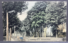 UDB Postcard Mechanic Street Antwerp NY Hand Colored Unposted picture
