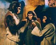 Planet of the Apes 24x36 inch Poster Kim Hunter as Zira picture