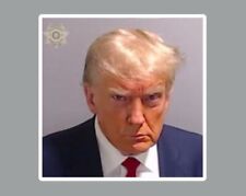 Donald Trump Mug Shot Die Cut Glossy Fridge Magnet picture