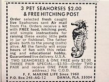 Pet Seahorses Dania FL Fun Educational Family Will Enjoy Vintage Print Ad 1967 picture