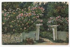 Oleanders St. George Bermuda pre-1940s Lithograph Unposted Postcard picture