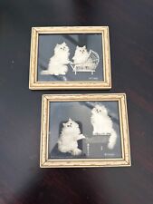 Persian Kittens Photographs by Bradley R. Currey Lot of 2 Framed Small Cat Lover picture