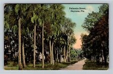 Daytona FL-Florida, Palmetto Street Vintage Souvenir Postcard picture