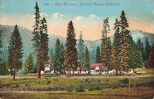 Hotel Wawona Yosemite Valley California CA 1916 Postcard picture