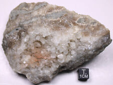 Stunning Geodized Tetradium Coral Pink Calcite Crystals Ordovician Fossil IN picture