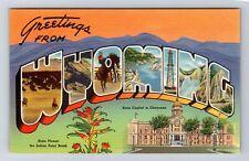 WY-Wyoming, Scenic LARGE LETTER GREETINGS, Antique Souvenir Vintage Postcard picture