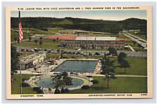 Postcard TN Legion Pool J Fred Johnson Park View People Kingsport Tennessee  picture