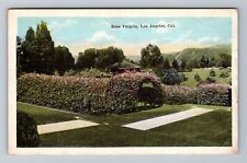 Los Angeles CA-California, Rose Pergola, Vintage Postcard picture