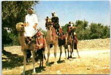 Postcard - Travelers on their Camels picture