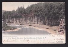 c1906 handcolor Devasego Gorge Catskill Mountains Prattsville New York postcard picture