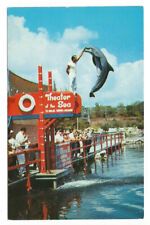 Overseas Highway Florida FL Postcard Theater of the Sea Porpoise picture
