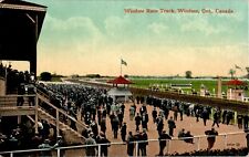 Crowd of Spectators, Windsor Race Track, Windsor, Ontario, Canada Postcard picture