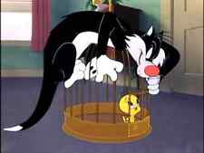 Tweety Bird and Sylvester The Cat  Vintage Cartoons  8x10 Print picture