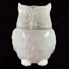 Threshold OWL Stoneware Cookie Jar Crackle/ Antique look Ceramic Creamy White picture