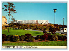 c1960's Greenery Scene, University of Sudbury, Sudbury Ontario Canada Postcard picture
