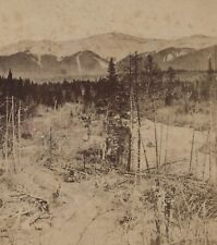 Mt Washington Distant White Mountains NH Stereoview c1880 picture