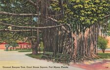 Fort Myers FL Florida, Court House Square Unusual Banyan Tree, Vintage Postcard picture
