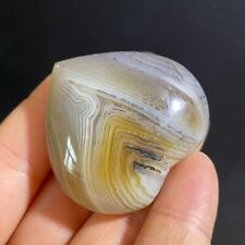 TOP  39g Natural Polished Aquatic Plants Agate Crystal Madagascar b1665 picture