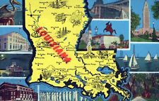 Greetings From Louisiana Postcard picture
