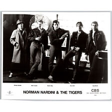 Norman Nardini and the Tigers Rock Blues Singer Guitarist 1985 Music Press Photo picture
