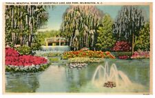 NC North Carolina Greenfield Lake Landscape c.1939 Vintage Postcard-Z2-257 picture
