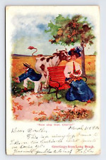 c1906 UDB Postcard Now Stop That Charlie Couples Humor Cow Long Beach CA picture