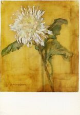 MONDRIAN•Chrysanthemum Flower 1909•Early Art POSTCARD picture