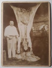 Rare Vintage Antique Photo Snapshot Craft Butcher Tripes Butcher Animal Knife picture