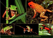 Jacksonville Zoo & Gardens Florida tree frog collage postcard picture