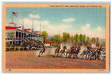 1945 Oak Lawn Race Track Hot Springs Arkansas AR Posted Vintage Postcard picture