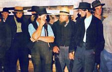 Pennsylvania Dutch Country Amish Gentlemen Horse Auction New Holland Postcard picture