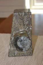 Unique Vintage Polished Ammonite fossil Bookend Paperweight Madagascar picture