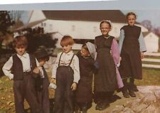 Heart Of Amishland Frolicking Amish Children Lancaster  Chrome Vintage Postcard picture