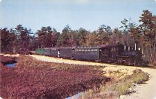 MA South Carver 1951 Sightseeing  Train @ Edaville Railroad Station postcard A28 picture