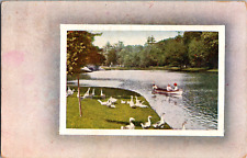 Vintage C. 1911 Summertime Fun Family Canoeing on a Lake White Geese Postcard picture