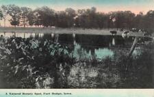 FORT DODGE, Iowa IA  NATURAL BEAUTY SPOT~Cattle & Pond WEBSTER CO  1912 Postcard picture