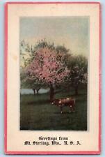 1922 Greetings From Mt. Sterling Cow Trees Wisconsin USA Correspondence Postcard picture