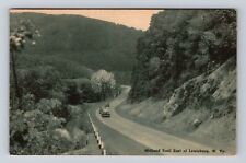 Lewisburg WV-West Virginia, Midland Trail East, Antique, Vintage Postcard picture