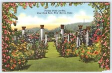 Pardee Rose Garden New Haven Connecticut Vintage Linen Postcard LDP-18 picture