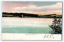 1907 Wilber Lake Scenic View Mountains Oneonta New York Vintage Antique Postcard picture