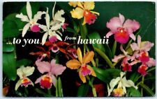 Postcard - To You from Hawaii, USA - Flowers picture
