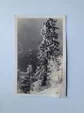 Vintage RPPC Postcard Snow Capped Pine Tree Winter Sentinel 1939 Winter Forest picture