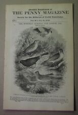 1839: BRITISH BIRDS - warblers, thrush, larks, blackbird; Frederic the Great picture