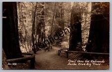 Real Photo Redwoods Santa Cruz Giant Trees In California CA RP RPPC M103 picture
