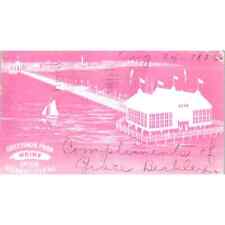 1902 Heinz Pier Atlantic City New Jersey Original Postcard TK1-22 picture