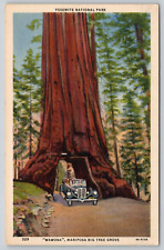 Postcard CA Yosemite National Park Wawona Mariposa Big Tree House Linen UNP A17 picture