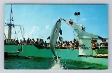 Marineland FL-Florida, Jumping Porpoises, Antique Vintage Souvenir Postcard picture