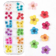 Nail Manicure Dried Flower 12 Kinds Colorful Realistic 3D DIY Crafts Cards Decor picture