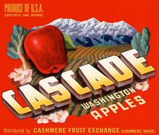 5 Vintage CASCADE Brand Apple Fruit Crate Labels Cashmere, Washington picture